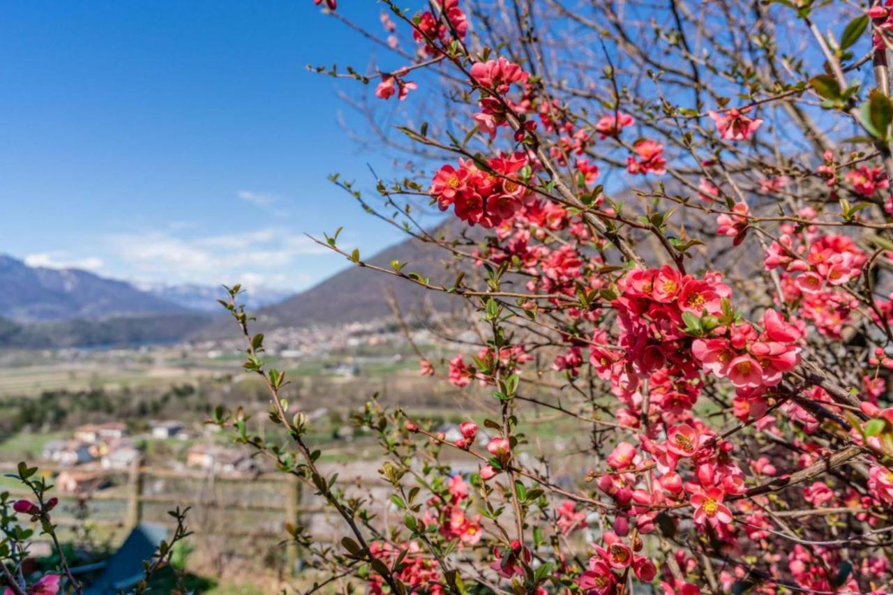 Alle Coccinelle, Levico Terme Zewnętrze zdjęcie